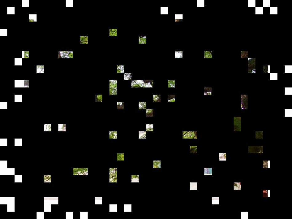 我们的写作之旅_第1页