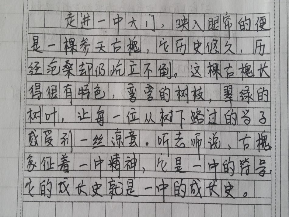 我们的写作之旅_第2页