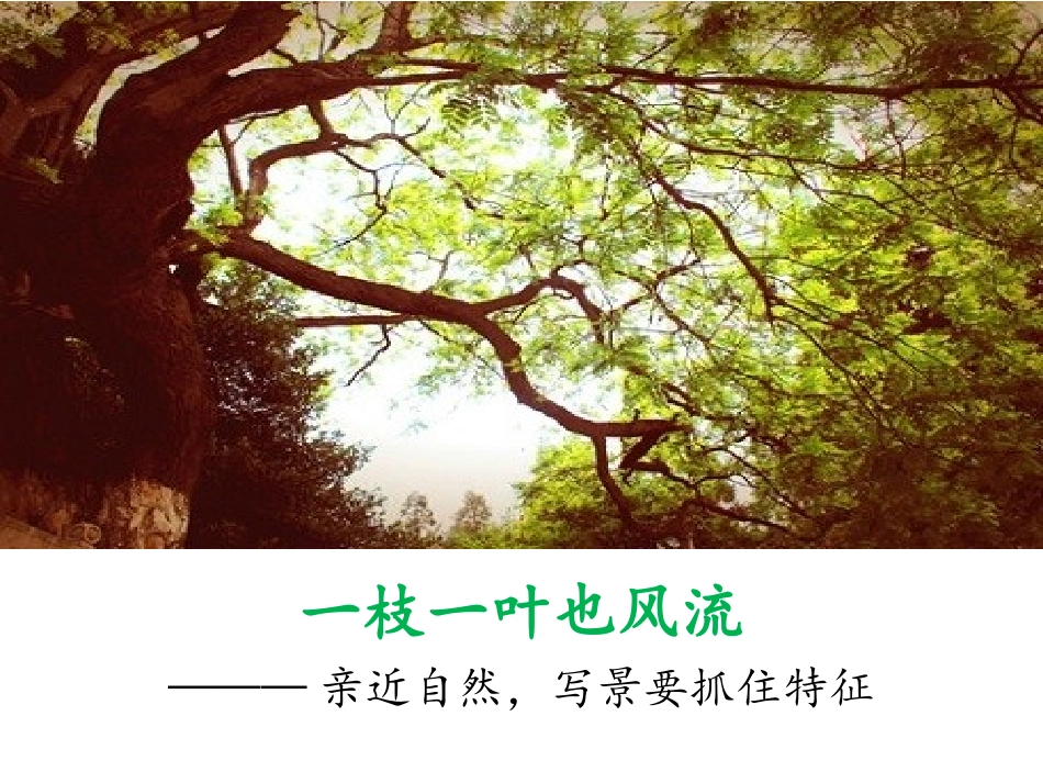 我们的写作之旅_第3页