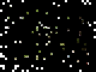 我们的写作之旅