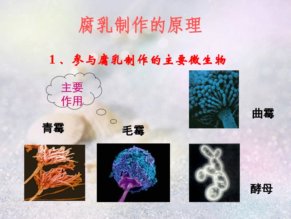 边做边学豆制品的发酵加工-制作腐乳_第3页