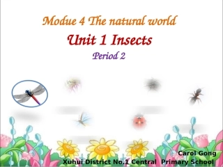 Unit1Insects