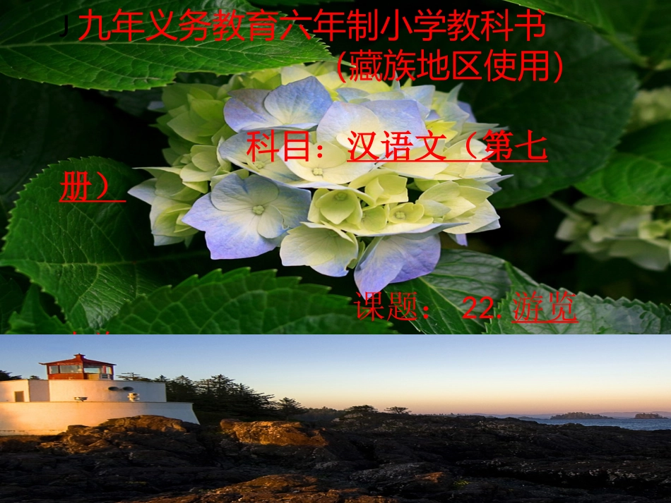 22、游览上海_第1页