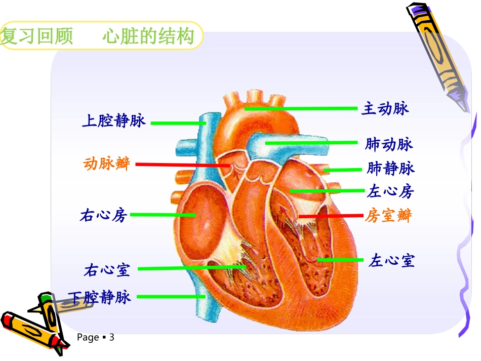 与生物学有关的职业-心血管病与心血管医生-(2)_第3页