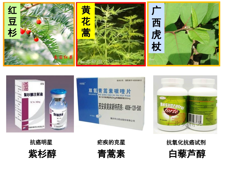 第二单元科学家怎样研究有机物-(3)_第2页
