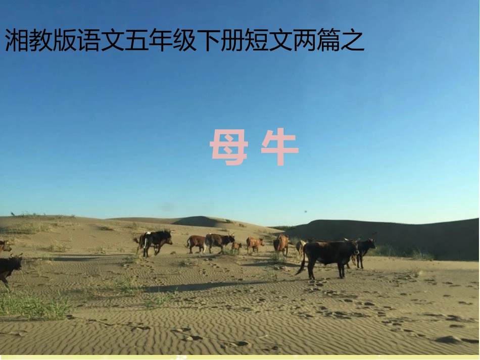 短文两篇-(2)_第3页