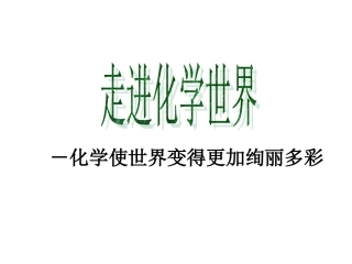 绪言化学使世界变得更加绚丽多彩-(4)