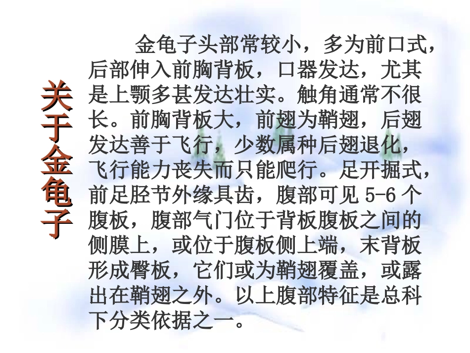 十五--松鼠_第2页