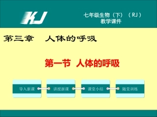 第2节人体的呼吸-(2)
