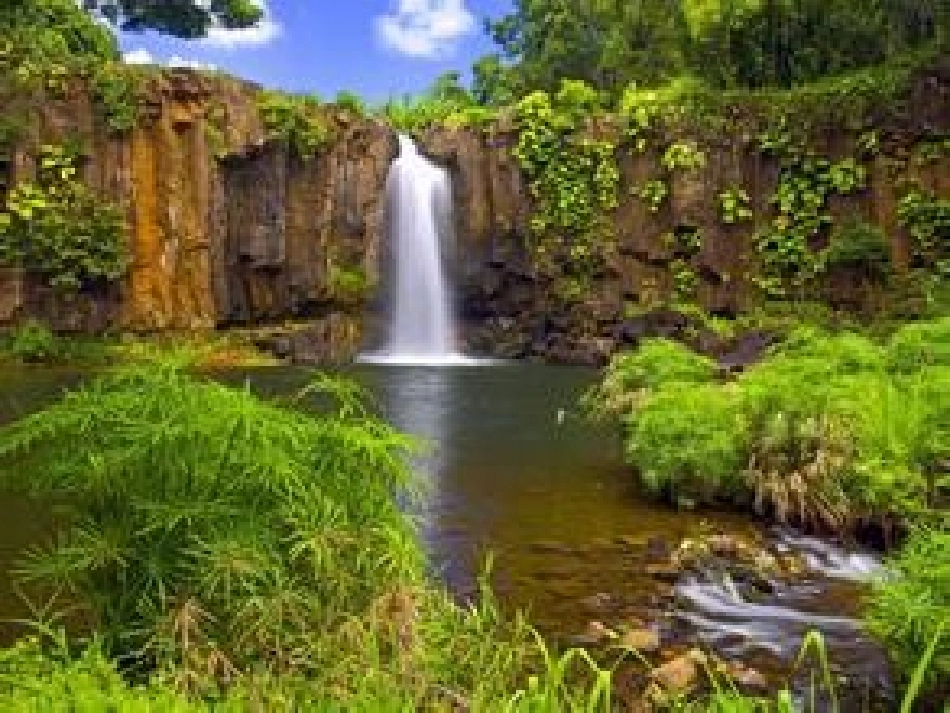 口语交际-(3)_第1页