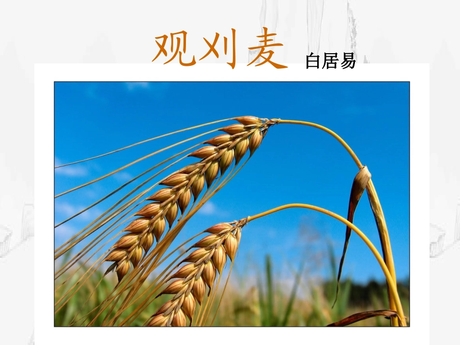 观刈麦-(2)_第2页