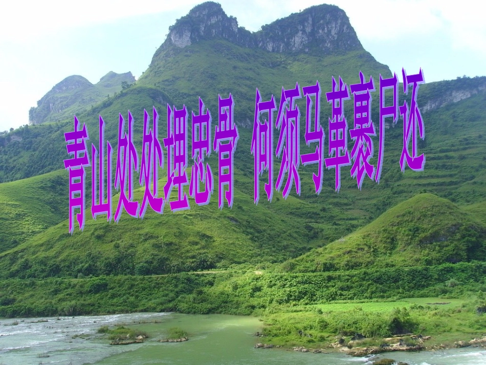 27青山处处埋忠骨张翠翠_第2页