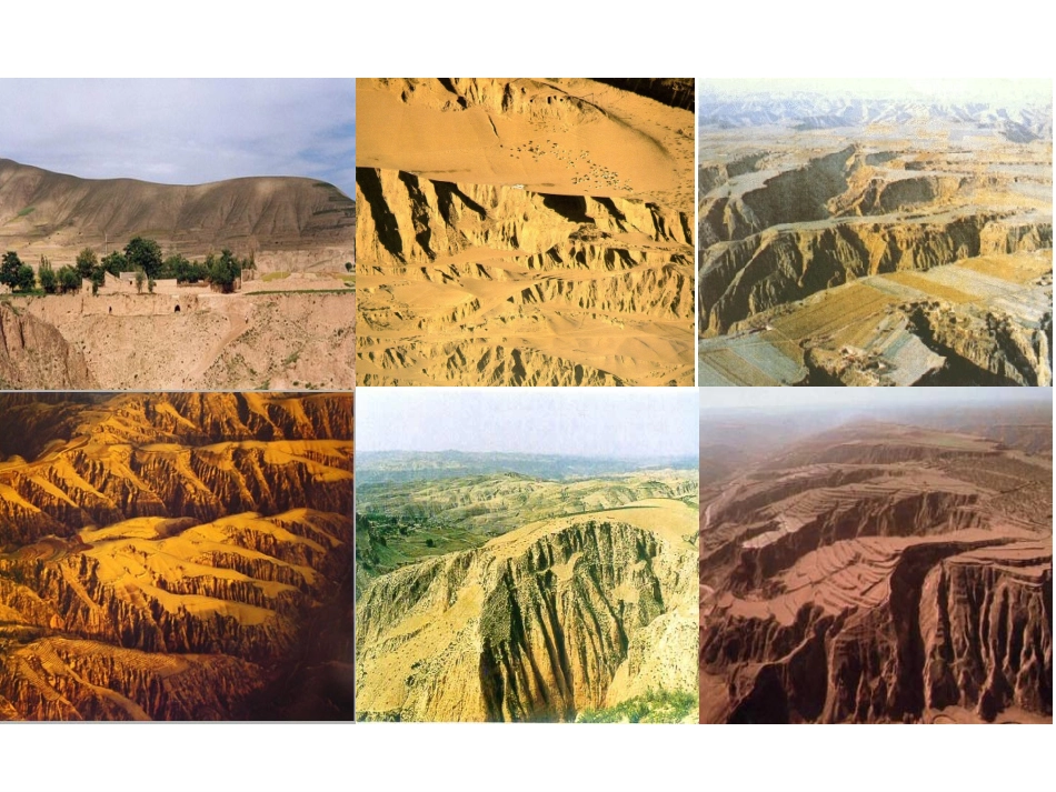 第三节区域发展阶段与人类活动_第2页