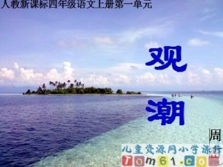 安晓莉观潮课件