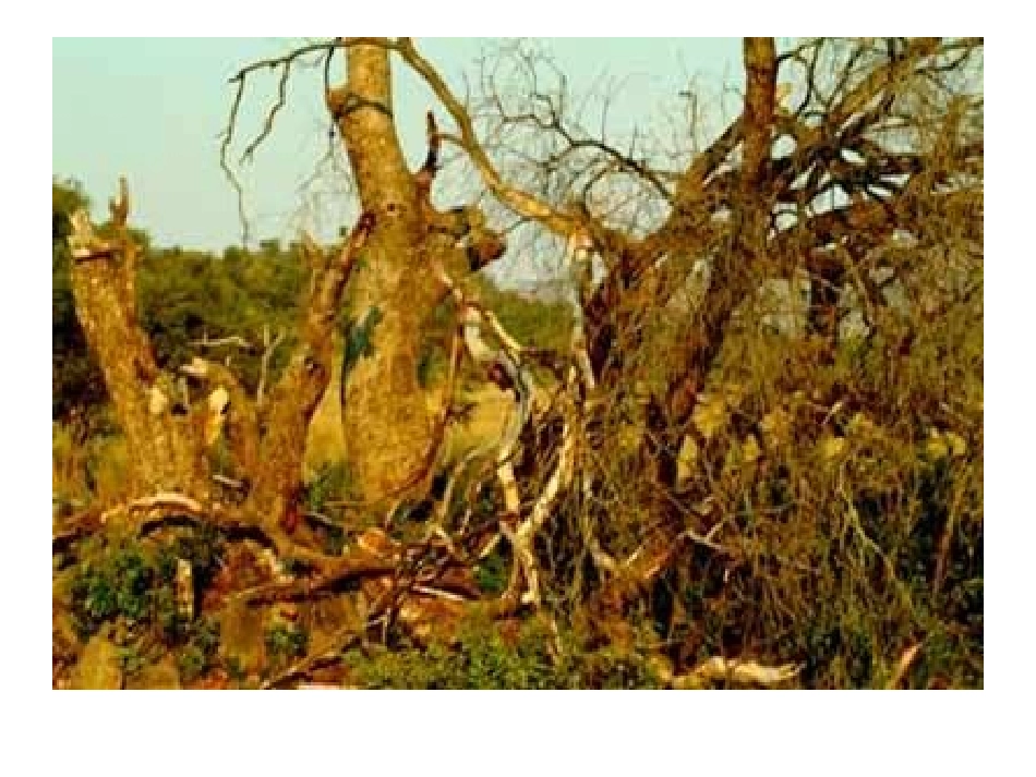 七颗钻石-(2)_第2页