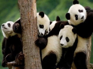 一生态系统的结构