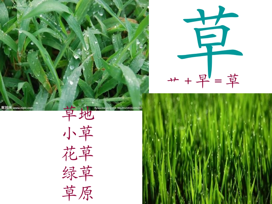 草演示文稿1_第2页