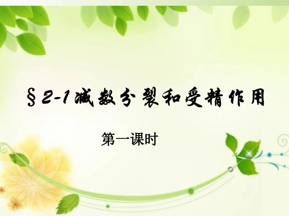 减数分裂的过程_第1页