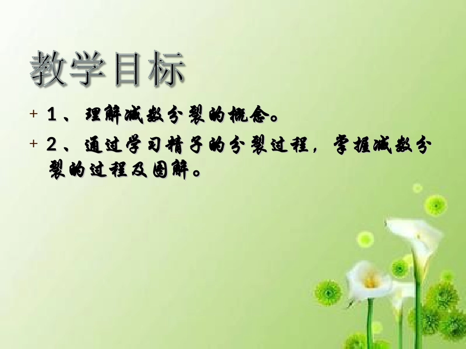 减数分裂的过程_第3页