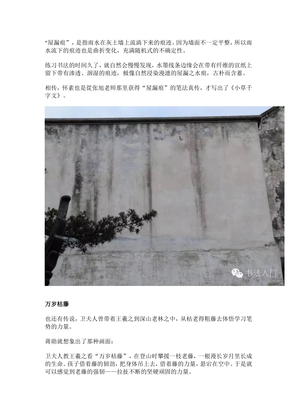 何谓古钗脚、屋漏痕、万岁枯藤_第3页