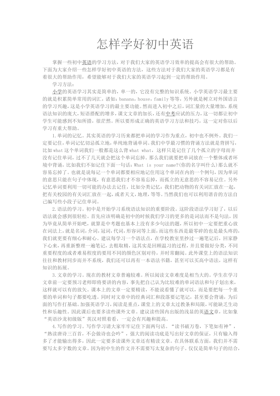 怎样学好初中英语_第1页