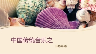 民族乐器潘心怡