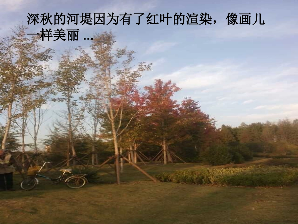 轴对称优质课_第2页