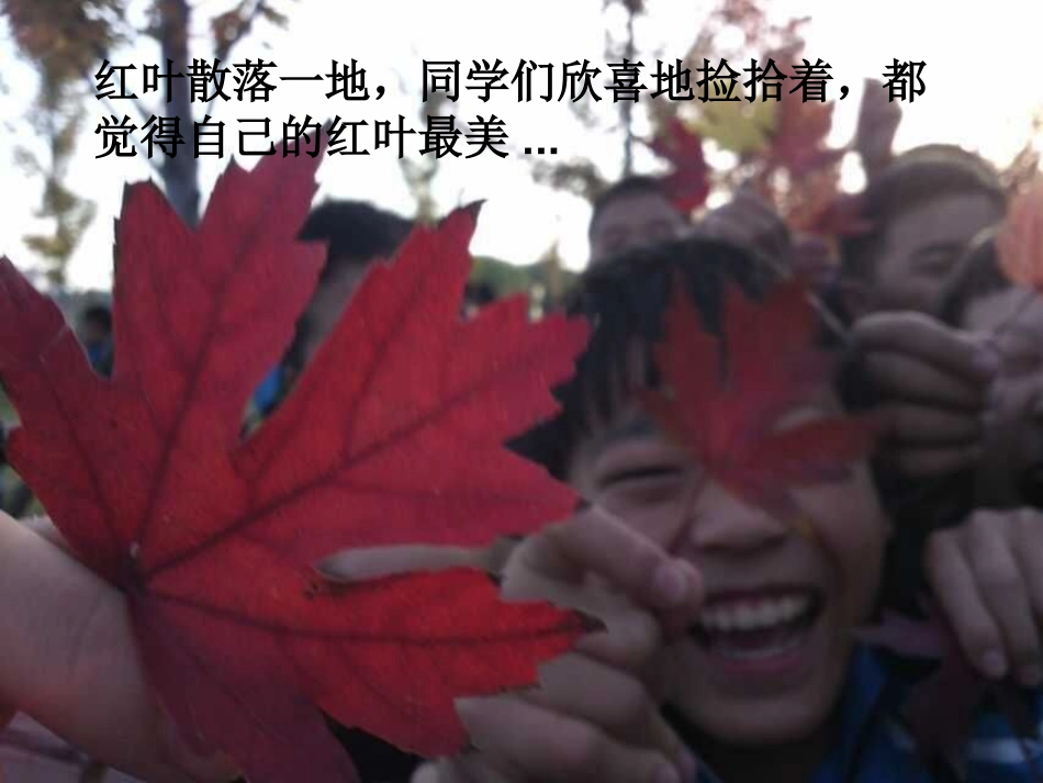 轴对称优质课_第3页