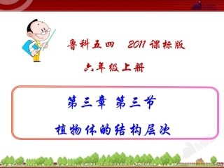 第三节植物体的结构层次