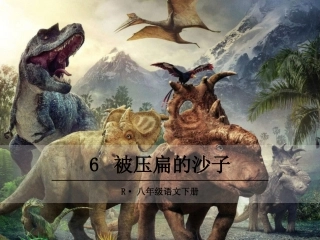 被压扁的沙子-(2)