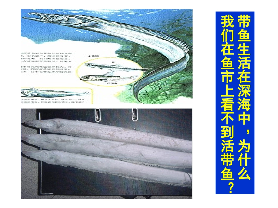 9.2液体压强_第2页