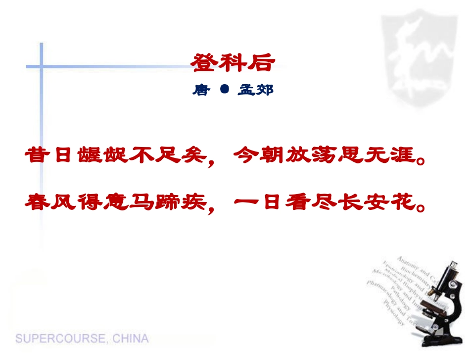 科举制度_课件_第2页