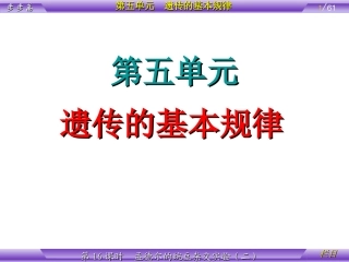 1.2-《孟德尔的豌豆杂交实验》课件4