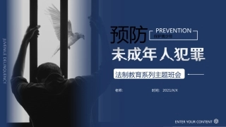 法制教育系列主题班会-预防未成年人犯罪