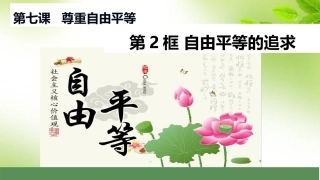 自由平等的追求-(3)