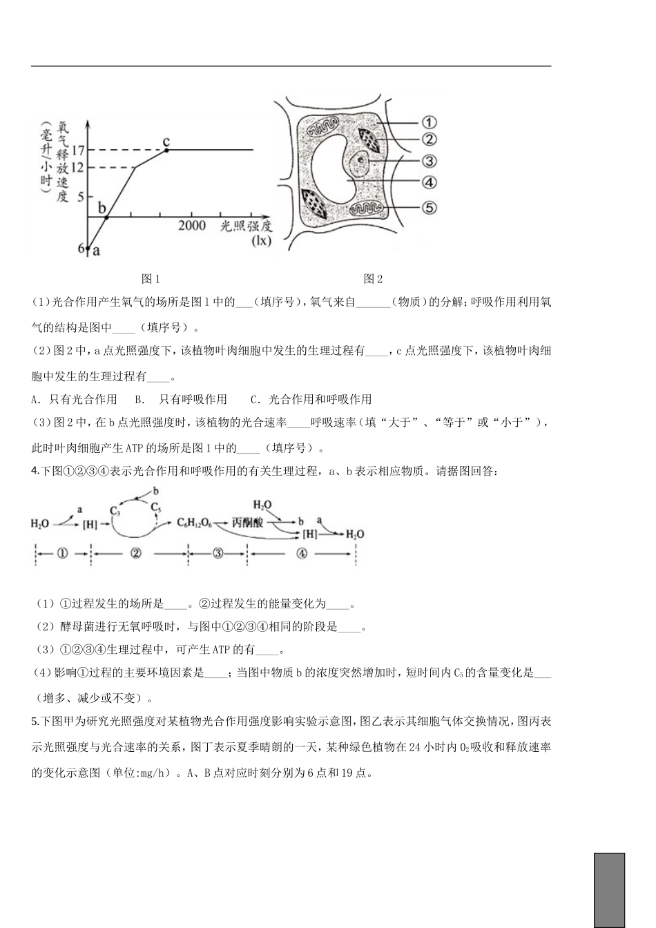 三光合作用与农业_第2页