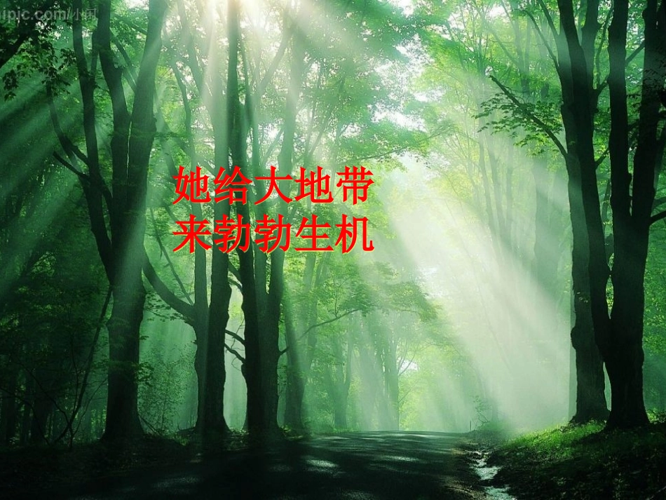 2012课题2《二氧化碳制取的研究》PPT课件_第1页