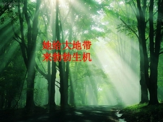 2012课题2《二氧化碳制取的研究》PPT课件