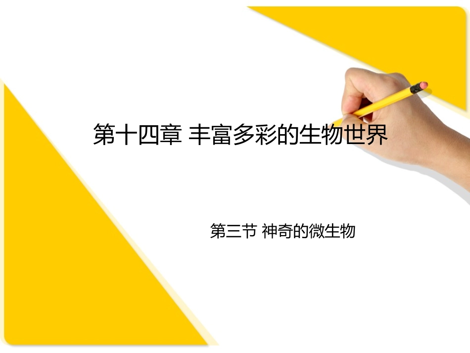 第三节神奇的微生物_第2页