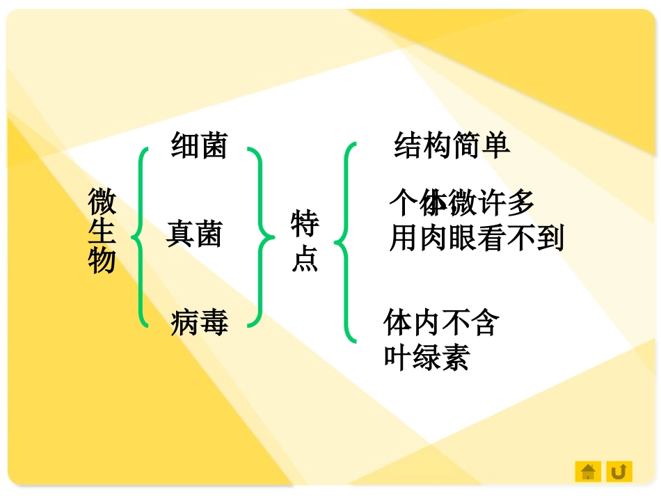 第三节神奇的微生物_第3页