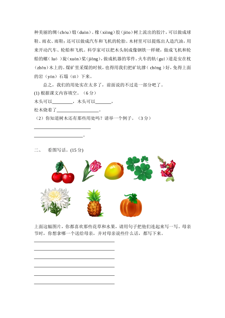 二年级下册语文期末试卷-方柏春_第3页