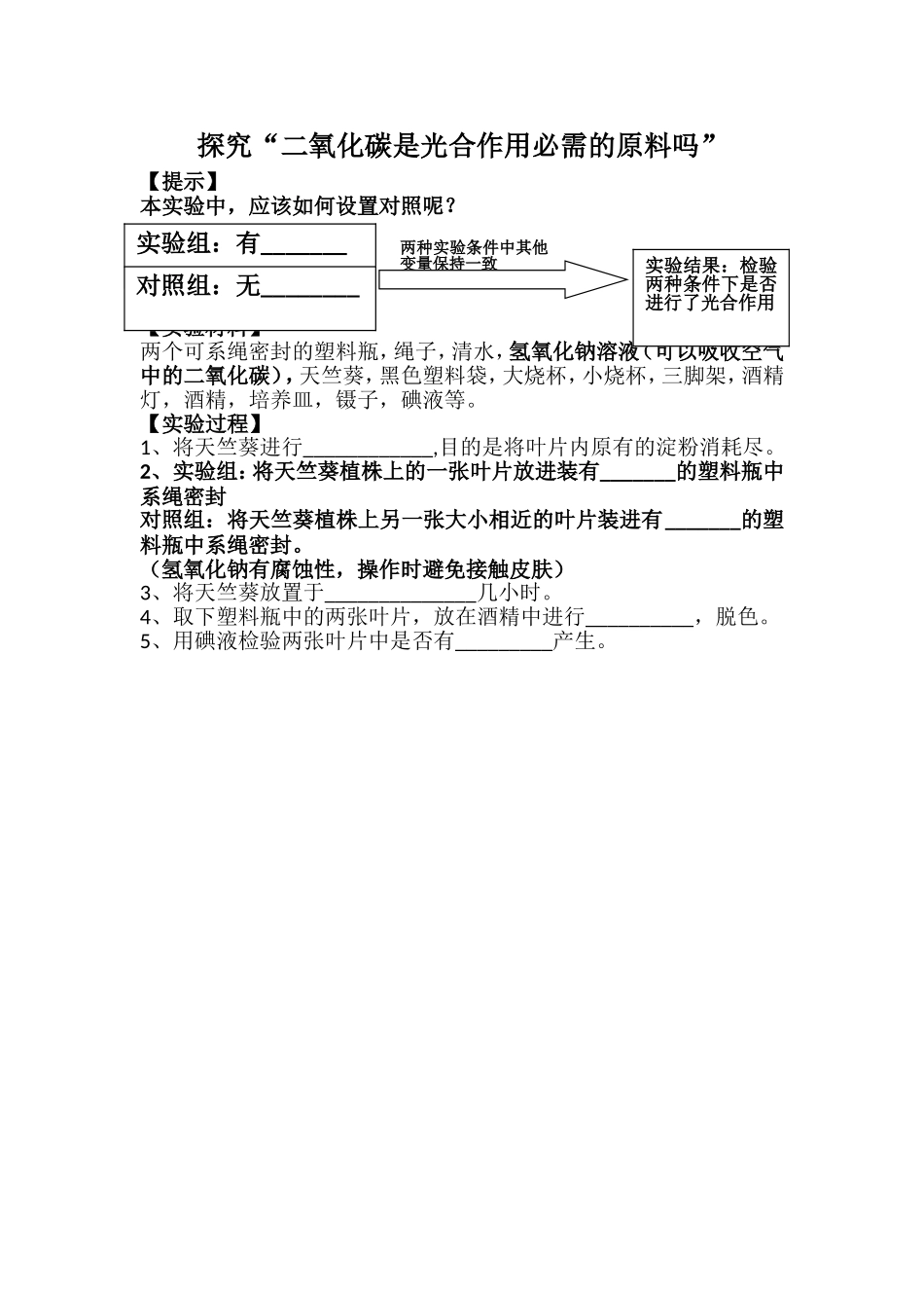 第五章-绿色植物与生物圈中的碳—氧平衡_第1页