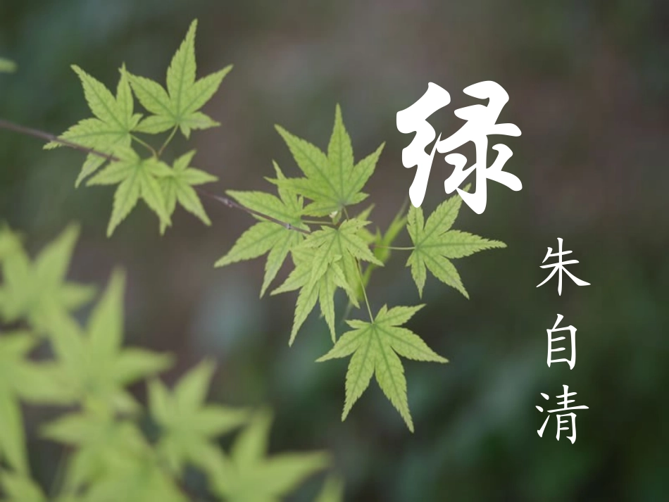 第22课《绿》课件1(苏教版九上)_第1页