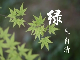 第22课《绿》课件1(苏教版九上)