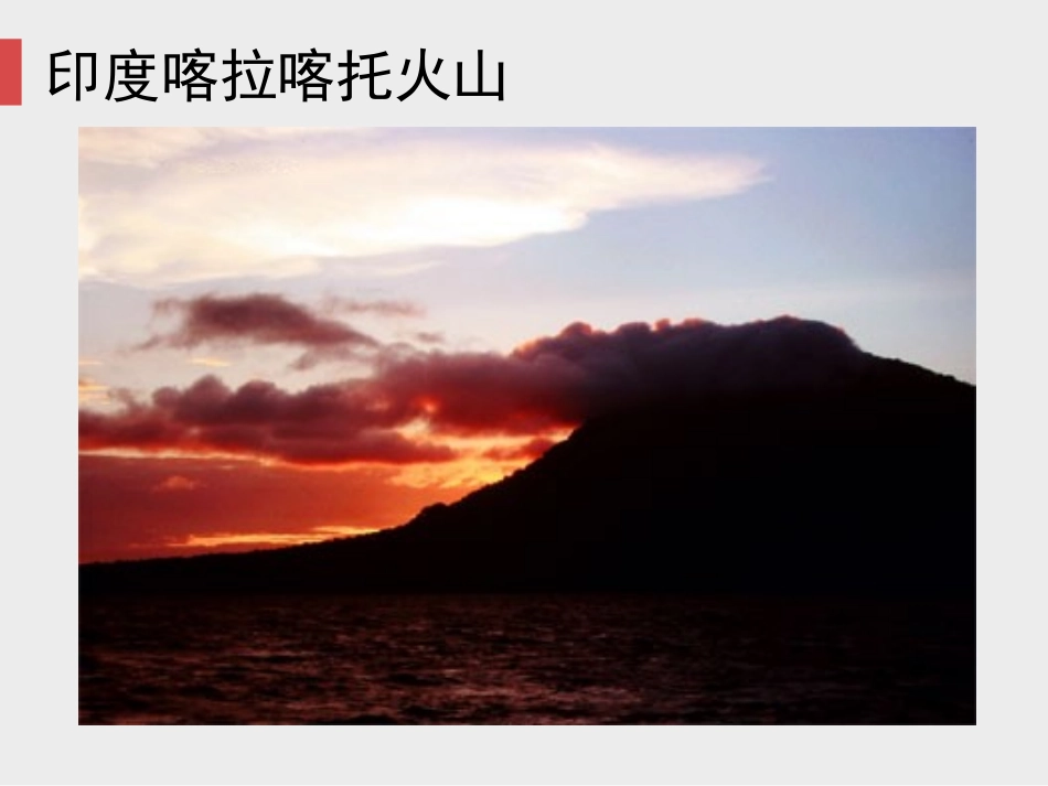 三群落的演替_第2页
