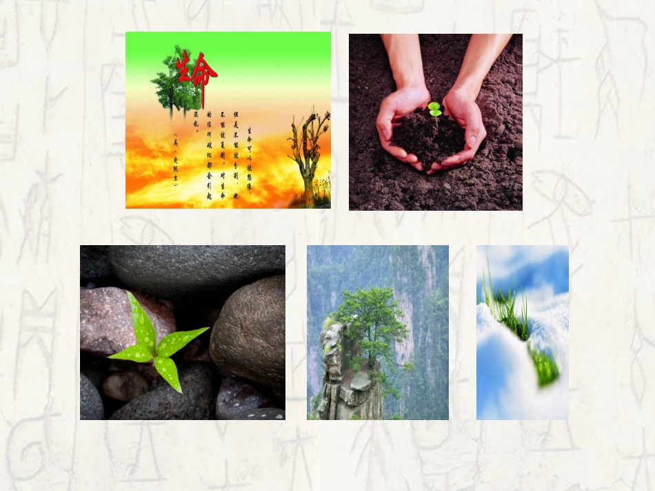 永久的生命-(4)_第1页