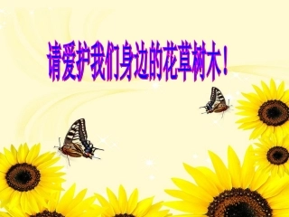 滨城区实验小学姜俊红长方形和正方形的认识