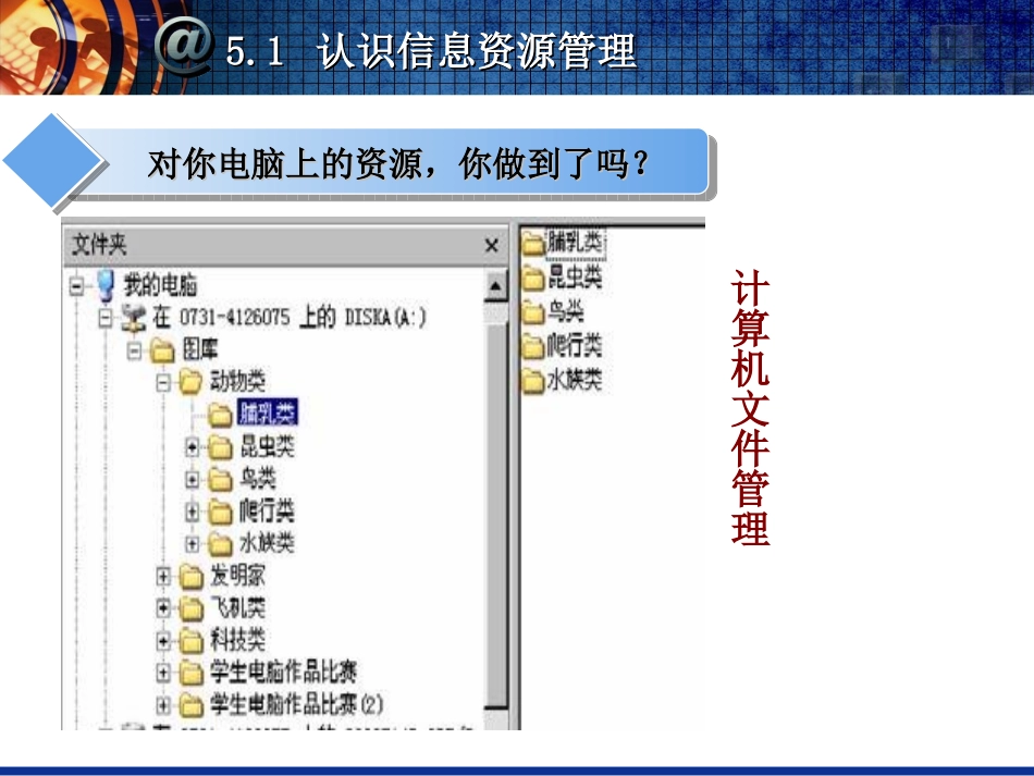 7.1.1身边的信息资源管理_第3页