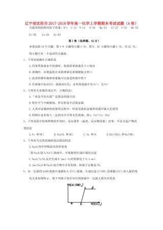 辽宁省沈阳市高一化学上学期期末考试试题（A卷）-人教版高一全册化学试题