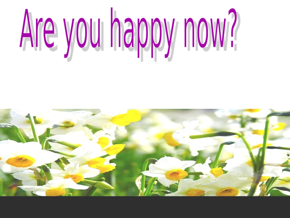 Reading(1)：Thesearchforhappiness_第3页